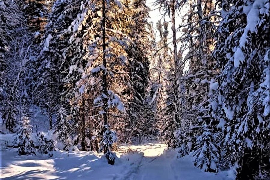 В пещеру Йети