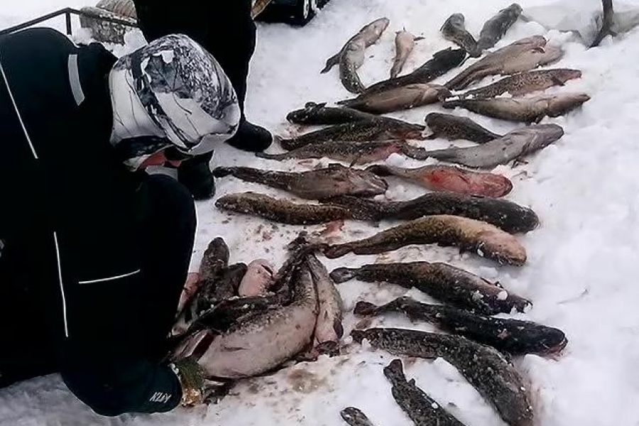 Озеро Майниц - жемчужина Чукотки (март-апрель, подлёдная рыбалка)