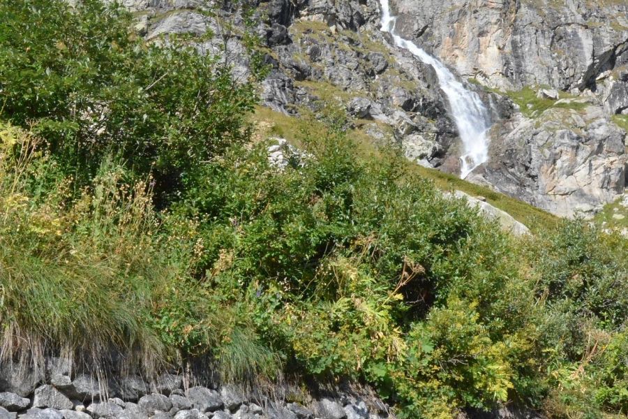 На склонах гор… (Новогодние каникулы)