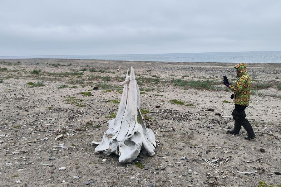 Бросок к последнему морю (Берингово море, коса Русская Кошка)