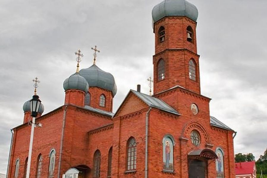 Цветение маральника на Алтае. Алтай весенний.