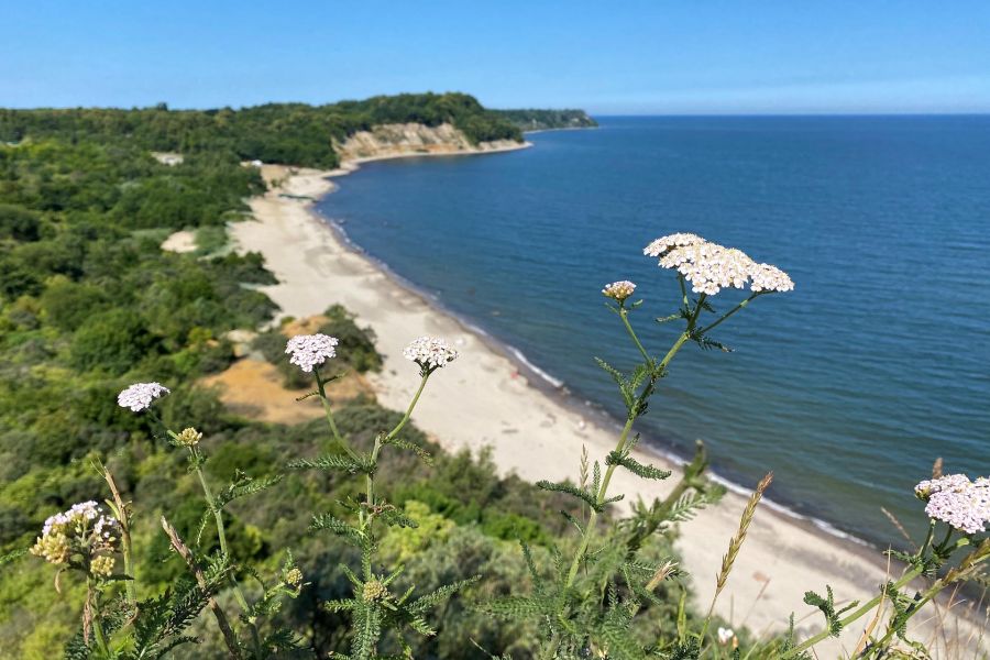Побережье чудес: городки на море + Калининград