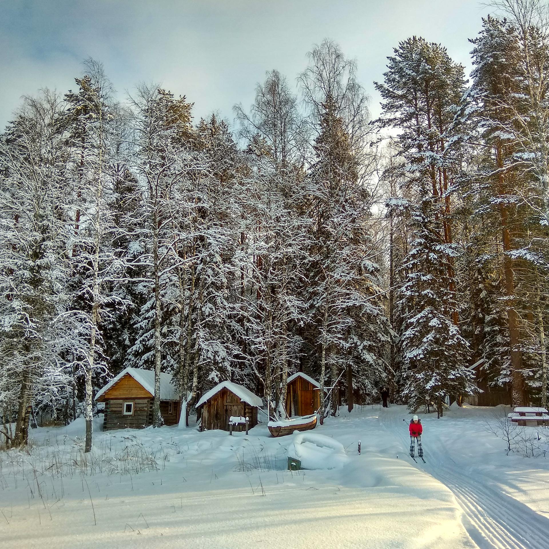 По заснеженному Лекшмозерью