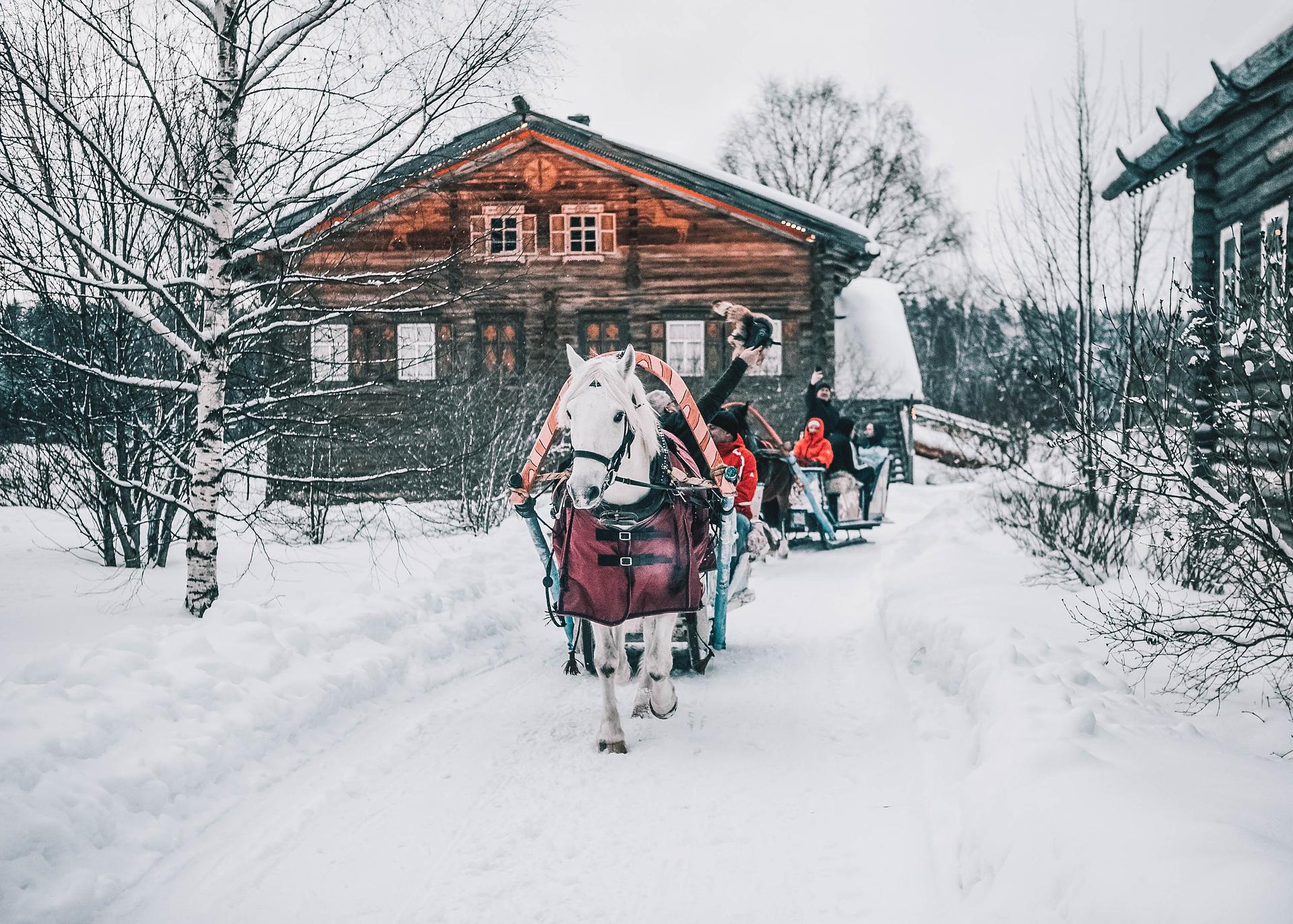 Новогодняя сказка в русской деревне Мандроги