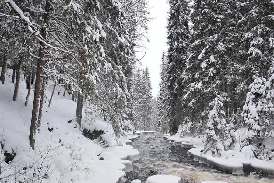 Новый год по-карельски. Игры с Дедом Морозом, питомник хаски и парк Рускеала