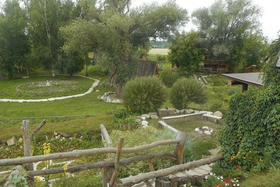 Алтай глазами В. Шукшина и белого шамана, экскурсия