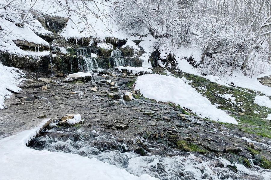 На Новогодние праздники в Псков - Изборск - Печоры