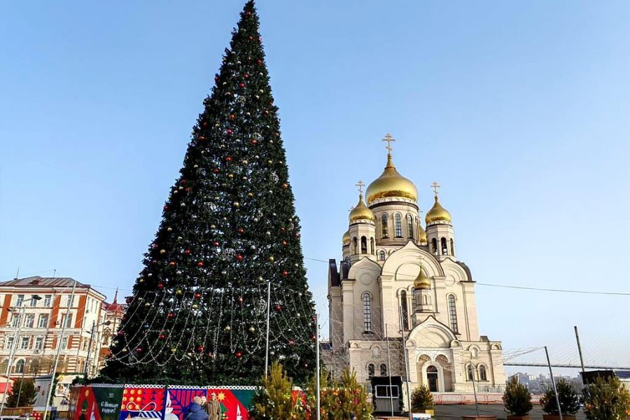 Тур "С новым годом, кошка!"