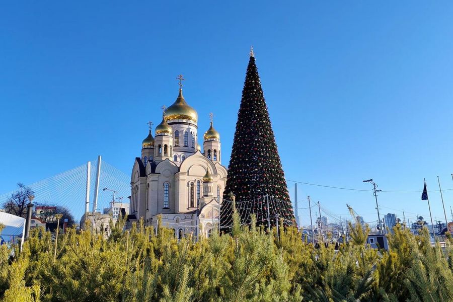 Тур "Зимний Владивосток: лучшее за 4 дня"