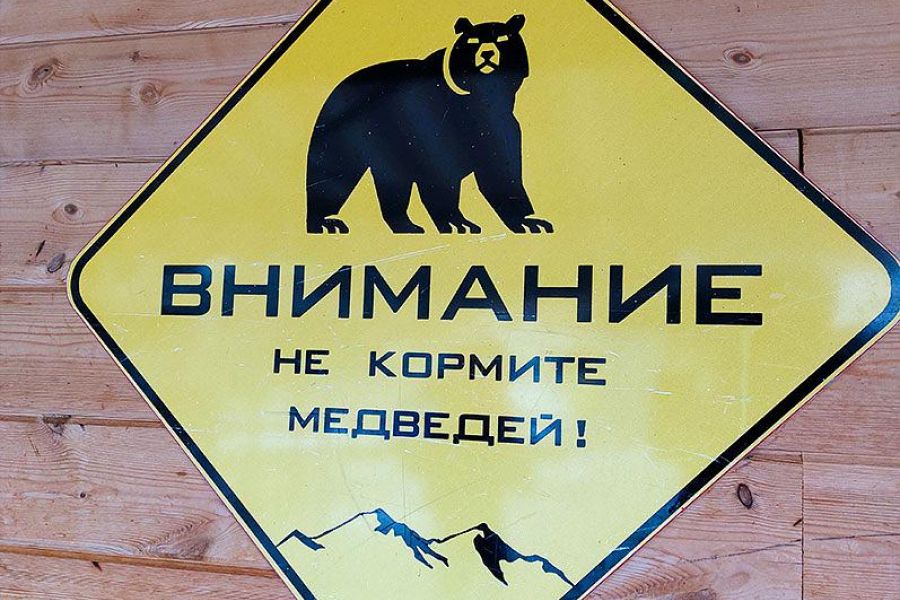 Горнолыжный тур на курорт Мамисон и Цей