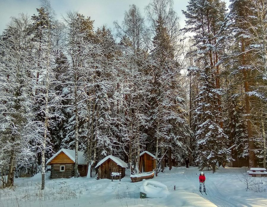 По заснеженному Лекшмозерью