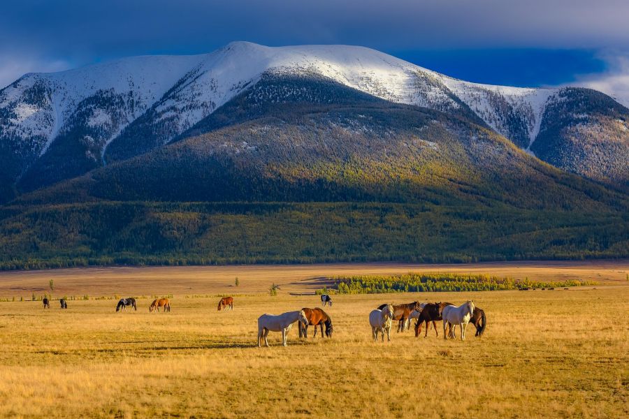 Алтай. Осенний блюз