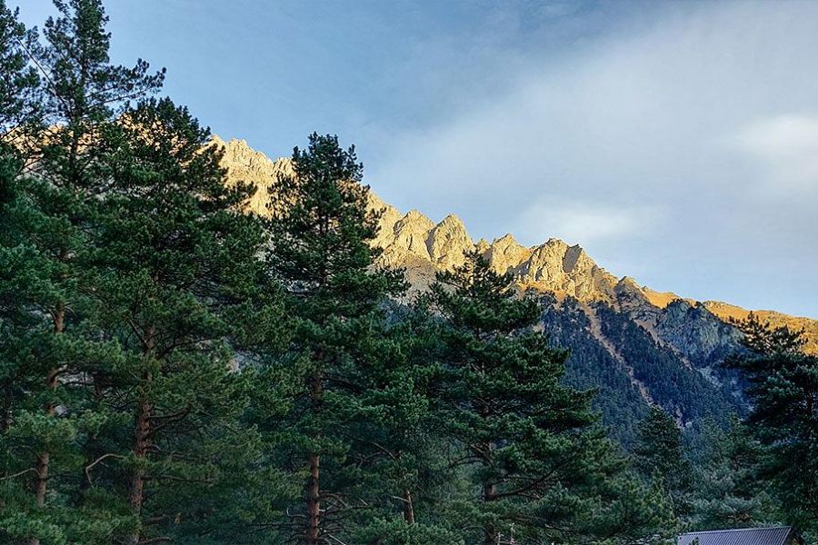 Горнолыжный тур на курорт Мамисон и Цей