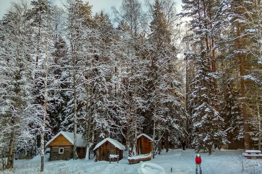 По заснеженному Лекшмозерью