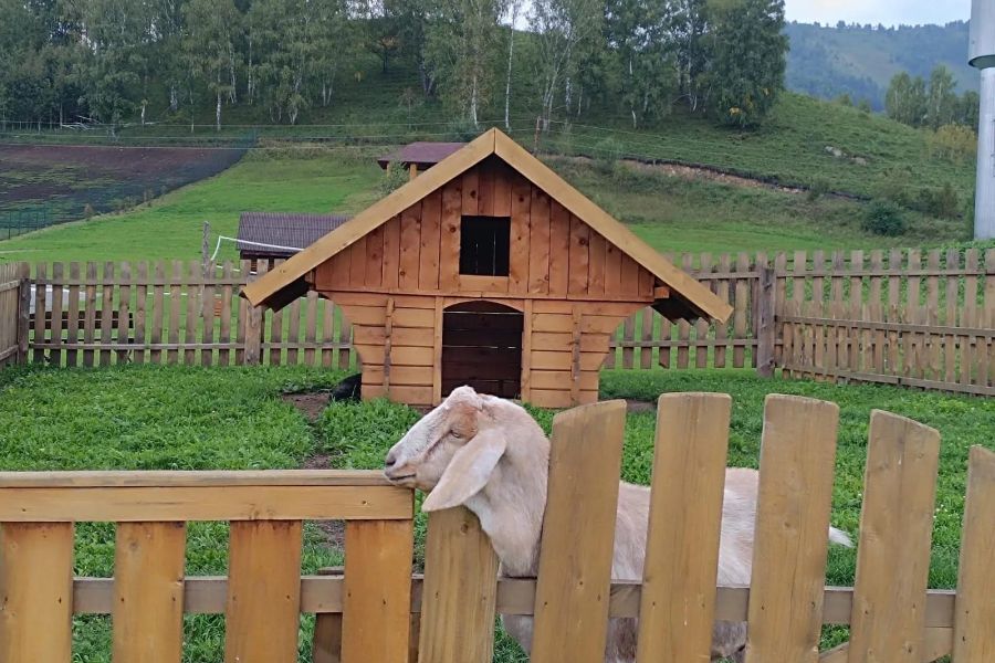"Дорога Зайсана" с рыбалкой на форель
