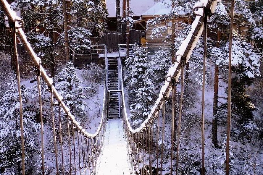 Удивительный Чемал + смотровая Толгоек + пасека, экскурсия