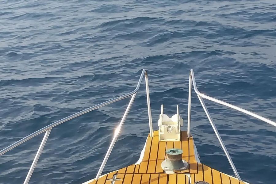 Морская экскурсия на остров Монерон