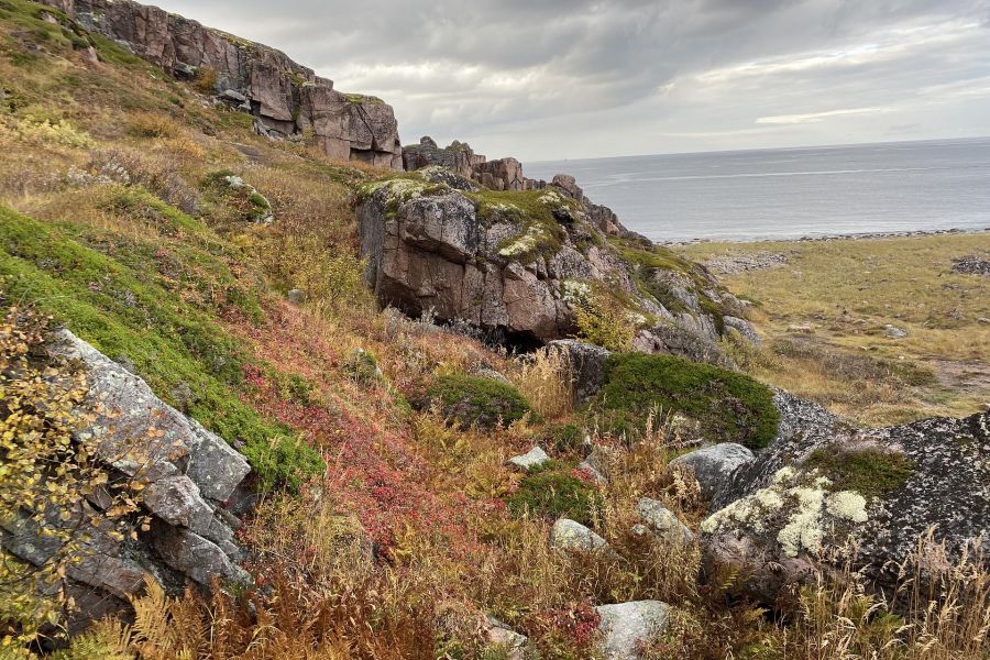 Кольский Лайт: Териберка + проживание