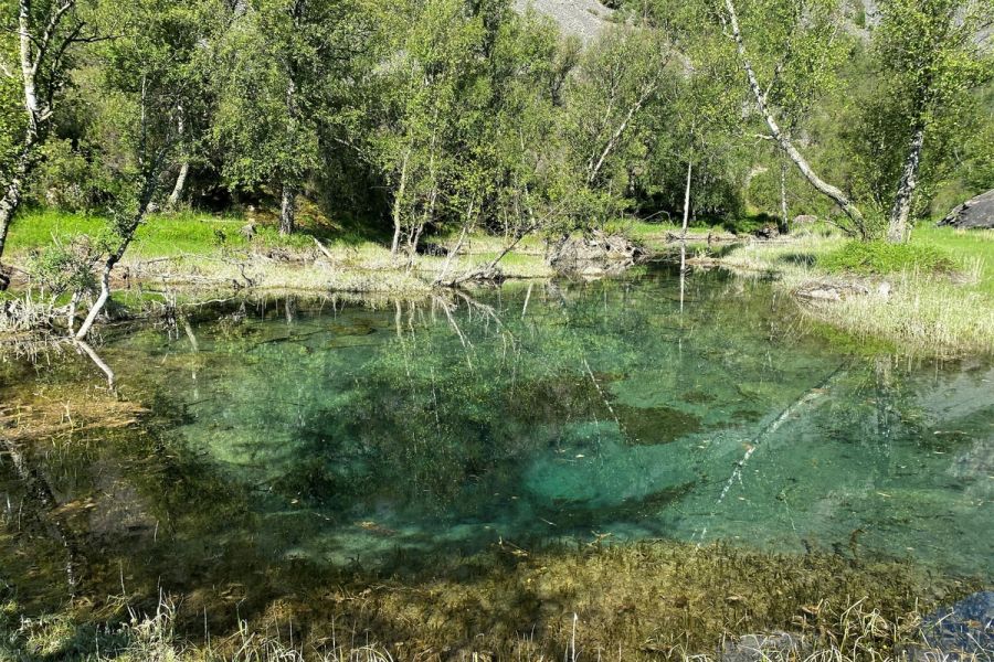Алтайская кругосветка, группа до 5 человек