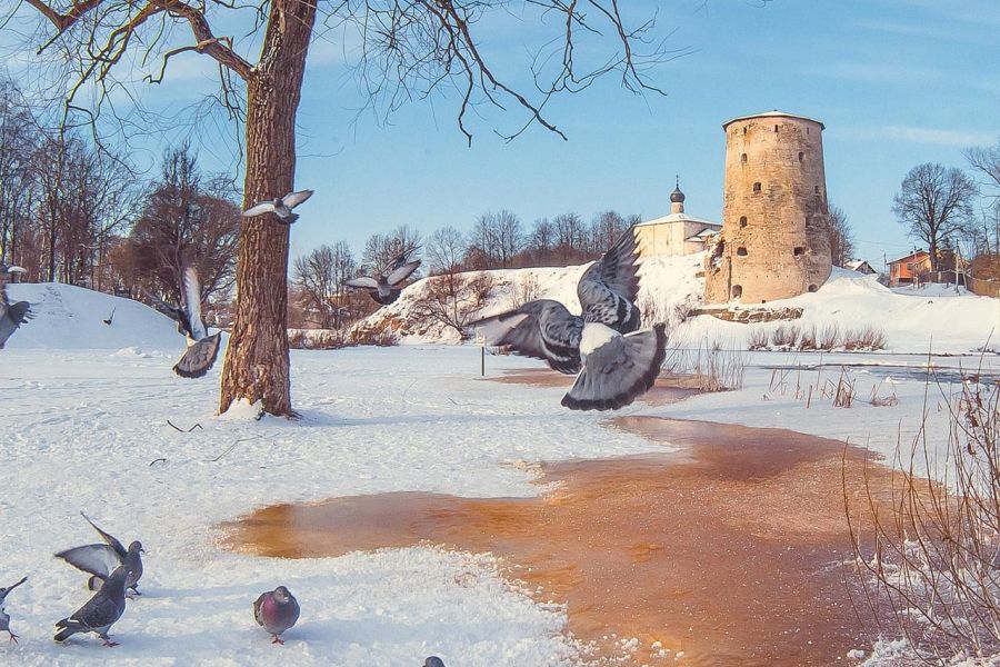 Зимние каникулы в Пскове 2 дня