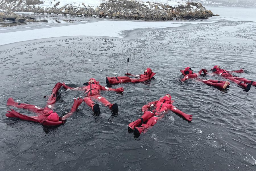 Новогодний Кольский