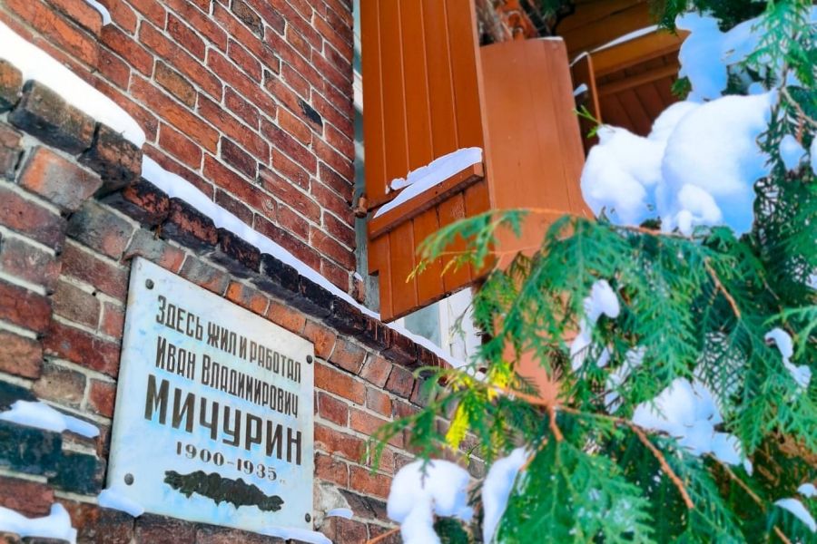«Тамбовский  promenade 2027:  усадебные традиции»