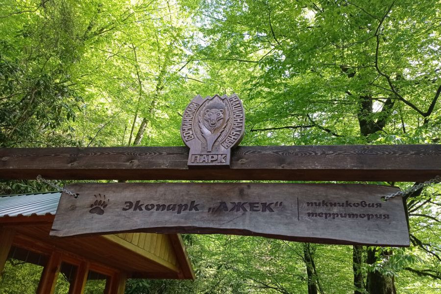 Треккинг в Сочи. Каникулы в субтропиках