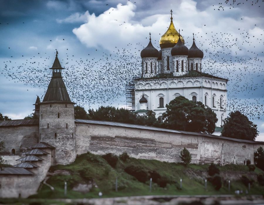 ПСКОВ • душегубки, колдуны и коркодилы