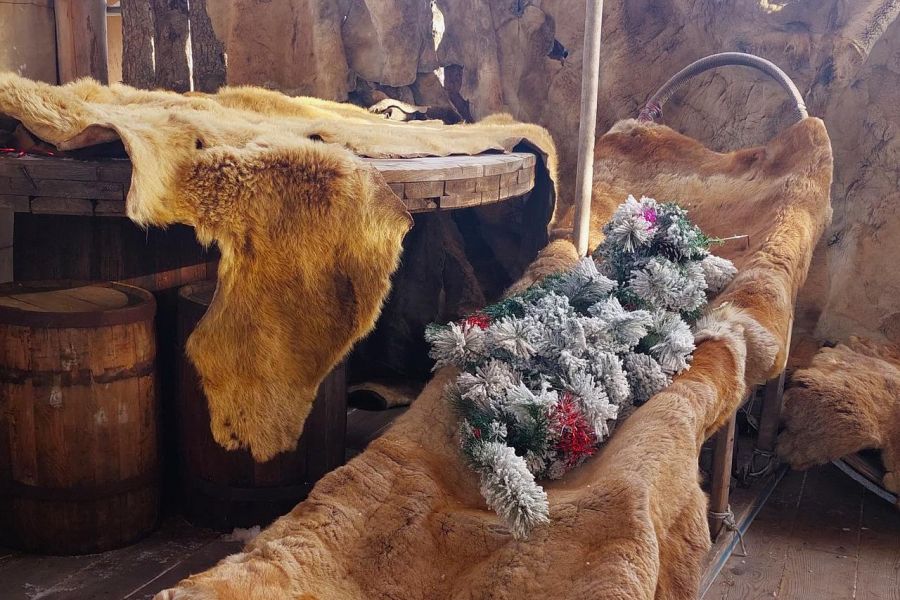 Очарование Камчатки (декабрь-апрель)