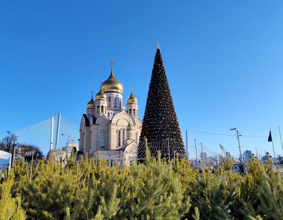 Тур "Зимний Владивосток: лучшее за 4 дня"