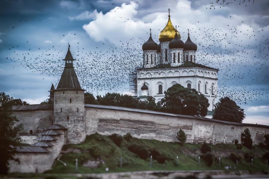 ПСКОВ • душегубки, колдуны и коркодилы