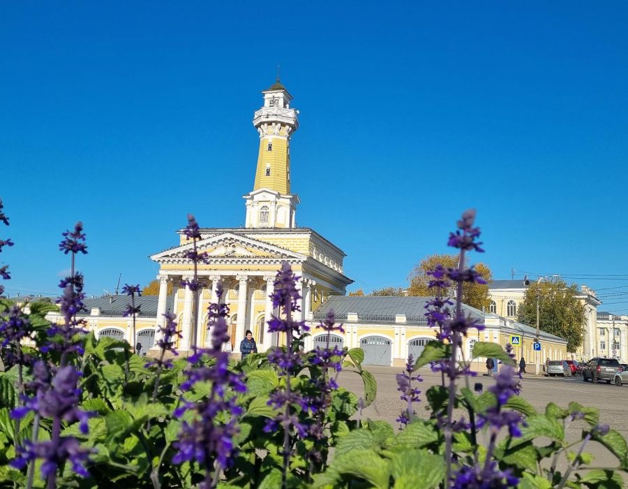 День в Костроме. Обзорная экскурсия, лосеферма, музей Сыра.