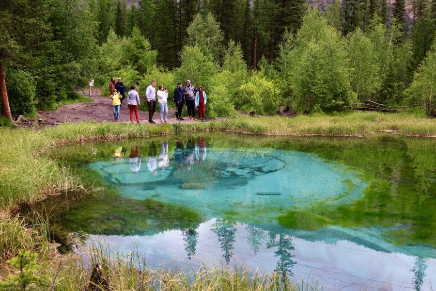Комфорт-тур по Алтаю: яркое лето 2026 и 2027