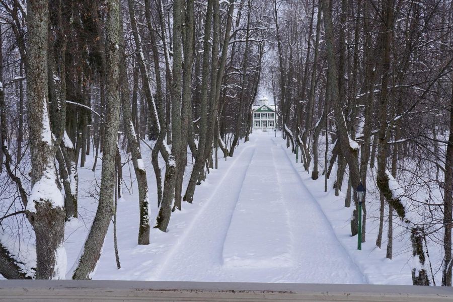 Новогоднее очарование провинциального городка 4 дня