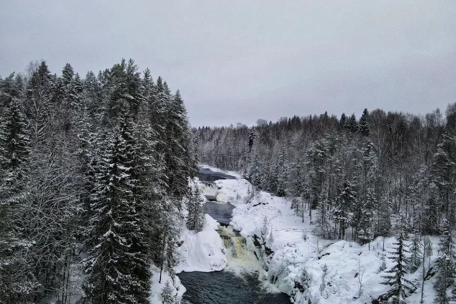 Онежская феерия 2027: Новогодний Петрозаводск и Вотчина Деда Мороза