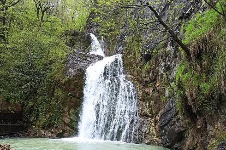 Сочинский эксклюзив. Городской экскурсионный тур в Сочи