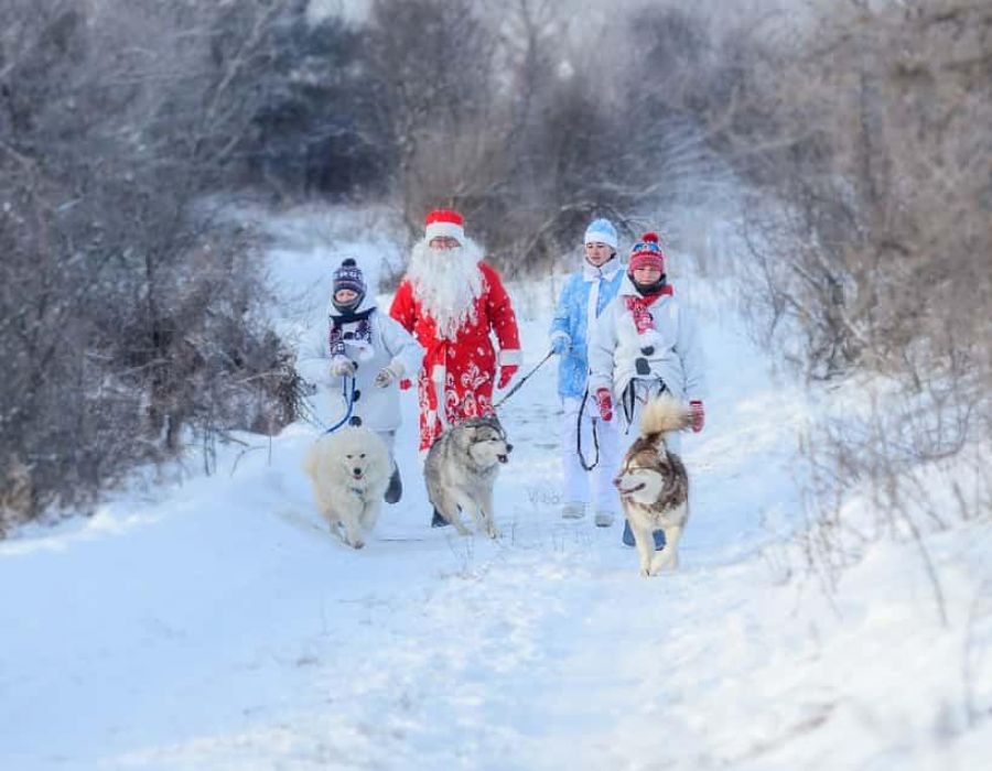 Новый год на Алтае